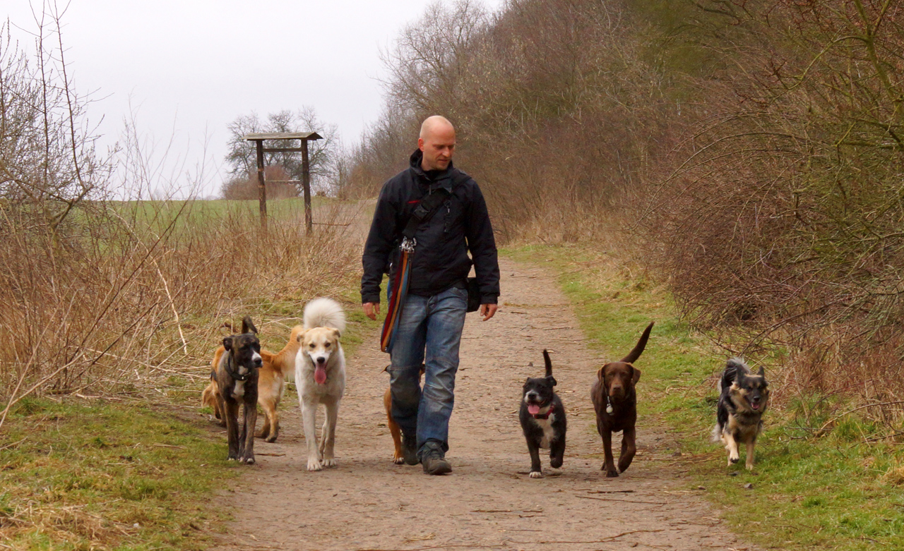 Hundebetreuung Friedrichshain 1